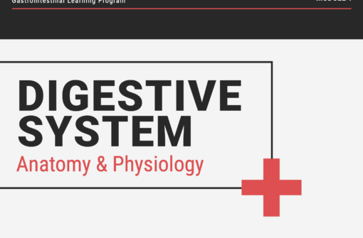 DIGESTIVE SYSTEM ANATOMY & PHYSIOLOGY