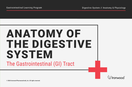 The Gastrointestinal (GI) Tract