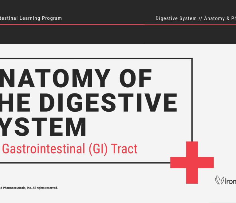 The Gastrointestinal (GI) Tract