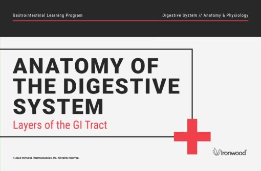 Layers of the GI Tract